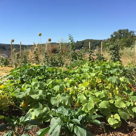 Haus Achtsamzeit Maison d'hôtes 3*
