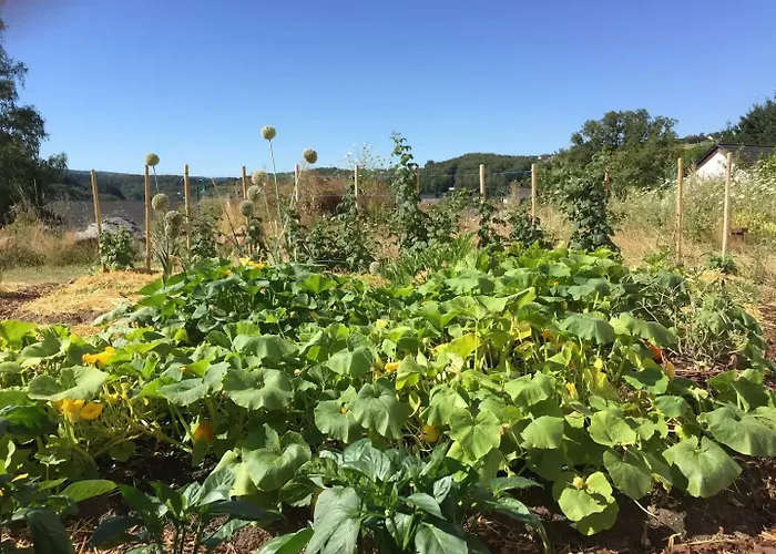 Haus Achtsamzeit Gæstehus 3*